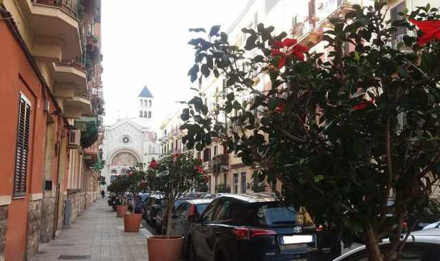 Gli "irrudicibili" di Madonnella: Collette e fiori per abbellire il nostro dimenticato rione